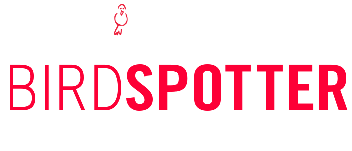 Droll Yankees BirdSpotter 2015-16 Photo Contest