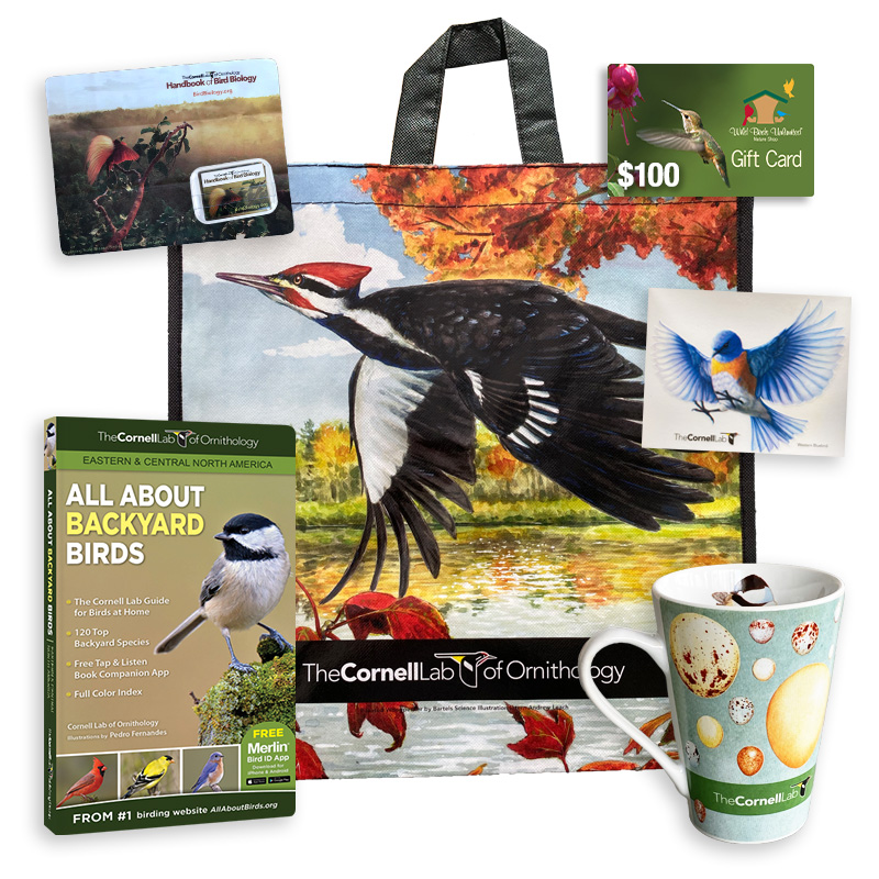 Weekly Prizes from the Cornell Lab of Ornithology