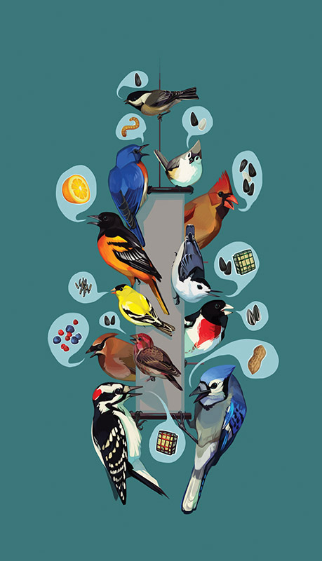 Nourrir les oiseaux en toute sécurité - FeederWatch