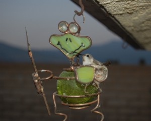 An Anna's Hummingbird nests on a frog windchime, submitted by