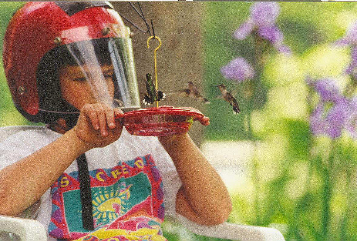 Toni Pulvermacher captured  this fun photo of her son, as his attention was captured by the hummingbirds.