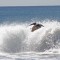 Pelican flying in surf