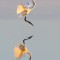 Great Egret prepares for landing