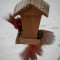 Two Northern Cardinals at the feeder