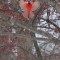 Angelic Cardinal