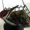 Pileated up close!