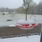 Rare snow storm on April 15th hits Crossville, Tennessee