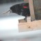 Red winged blackbird with deformed beak