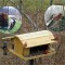 Large feeder lures birds in for web camera close ups