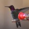 Anna’s hummingbirds