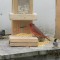 Cardinal using a Rocker Arm on my Smart Bird Interactive feeder with Wren,Tufted Titmouse, and Chickadee
