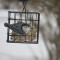 On the feeder