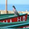 Pigeon hanging out on the dock!