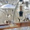 Bird friendly back yard deck