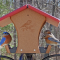 Eastern Bluebirds share a hopper feeder