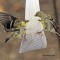 Feisty Goldfinch