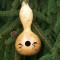 Homegrown Woodburned Birdhouse Gourd