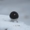 Baby it’s cold out here! Puffed up Junco.