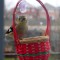 Finch feeding from a dainty basket.