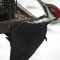 Pileated  Woodpecker