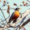 A beautiful Robin in Spring