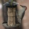 Female Red-bellied Woodpecker (3-06-16)