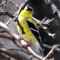Goldfinches Have Returned For Spring!