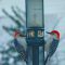 Red-bellied Woodpeckers on Peanut Feeder