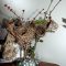 My Tiny Bird Nest Collection ;-)