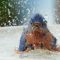 Bluebird bath time