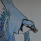 Blue Jay With a Peanut Illustration