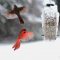 Cardinals in flight