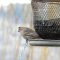 Female House Finch with health issues