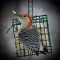 red bellied woodpecker loves suet
