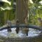 Backyard Birdbath