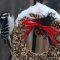 A wreath, downy with snow and woodpeckers!