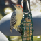 Male Red-belly at a suet feeder