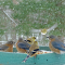Bluebirds and Goldfinches meet for lunch