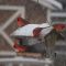 Family of cardinals enjoying the snow