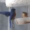Eastern Bluebird and Carolina Wren have issue at feeder