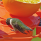 Ruby-throated Hummingbird male chooses an Oriole feeder