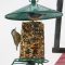 Two Red-breasted Nuthatches at suet feeder