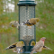 A feeder full of Finches