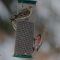 Common Redpoll and Pine Siskins…Uncommon winter visitors to our area
