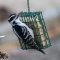 Hairy Woodpecker on a suet feeder