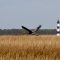 Outer Banks Take-off
