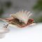 House Finch Take Off
