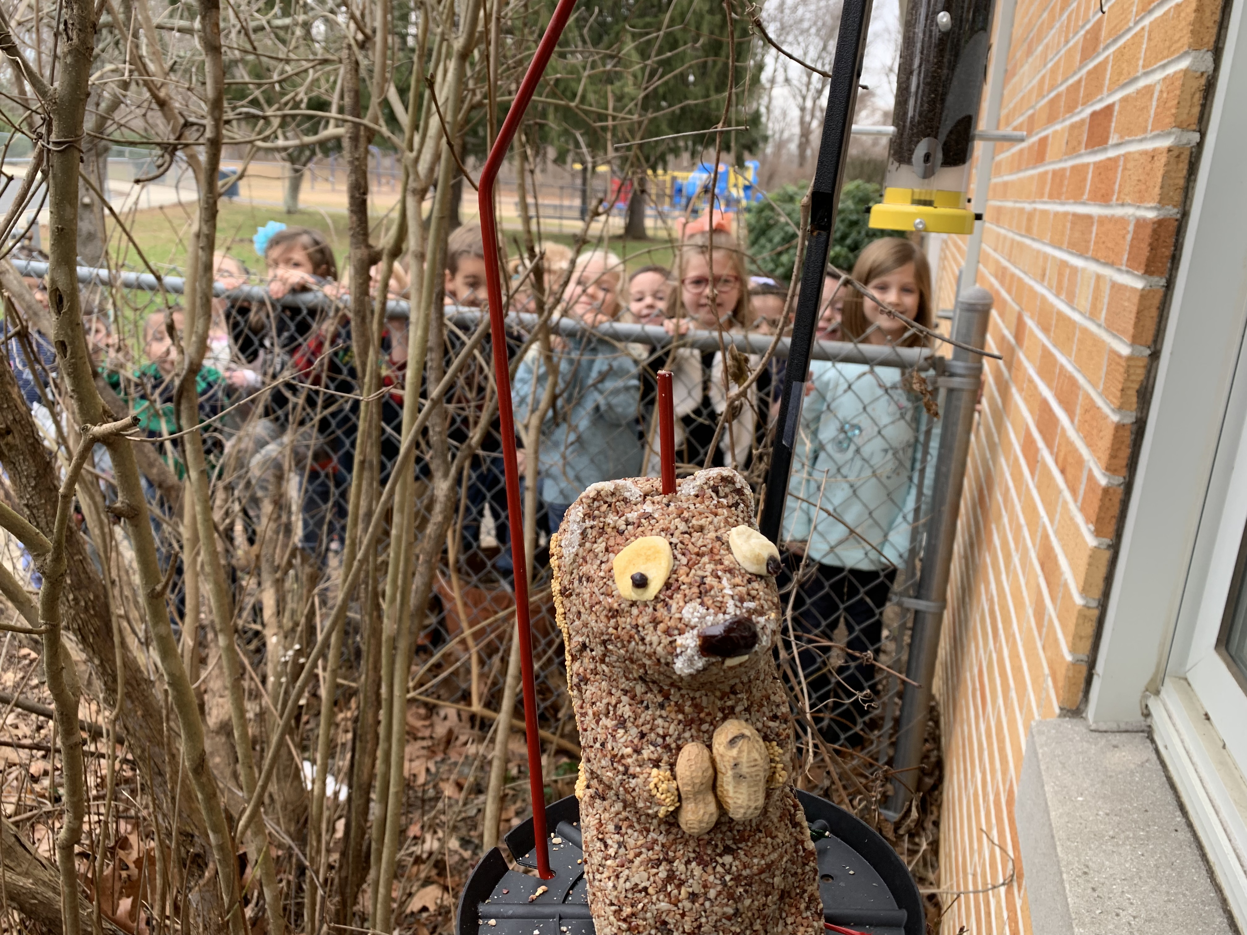 Elizabeth Mullee's class watching feeders from behind a fence, all with smiling faces!