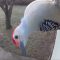 Red bellied Woodpecker inspects security camera