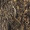 Brown Creeper – Blending In